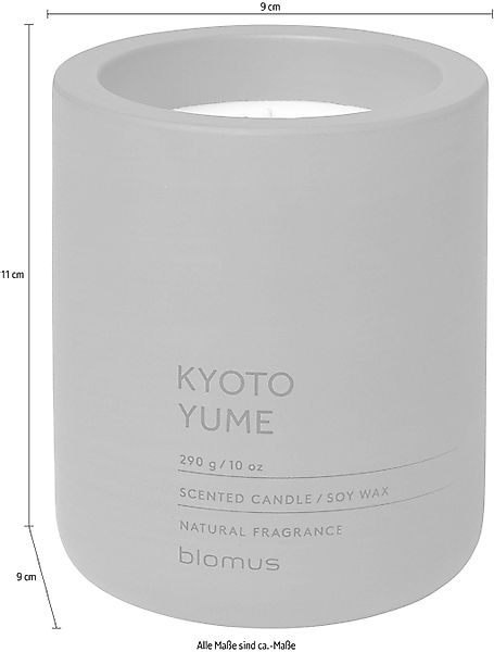 blomus Duftkerze -FRAGA- Beton-Duftkerze aus natürlichem Sojawachs, Hochwer günstig online kaufen