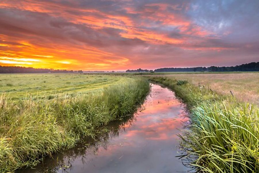 Papermoon Fototapete »Fluss in Feld« günstig online kaufen