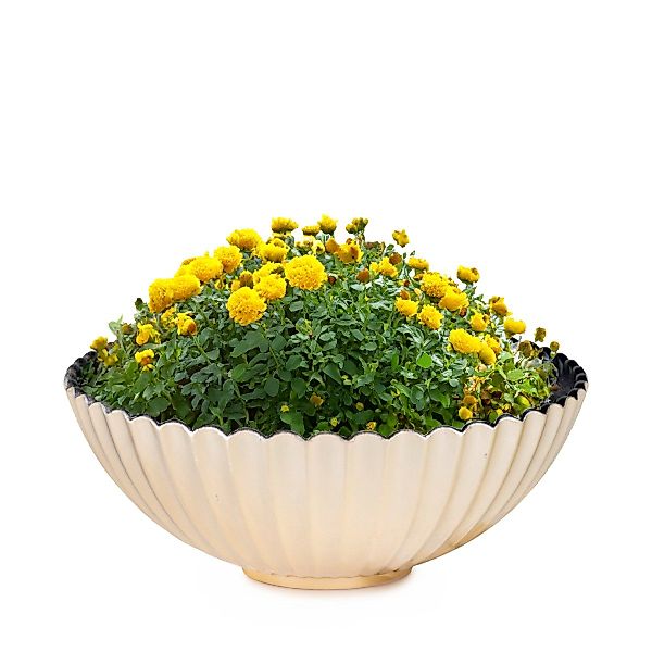 matches21 HOME & HOBBY Blumentopf Dekoschale günstig online kaufen