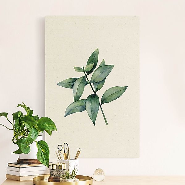 Leinwandbild auf Canvas Natural Aquarell Eucalyptus III günstig online kaufen