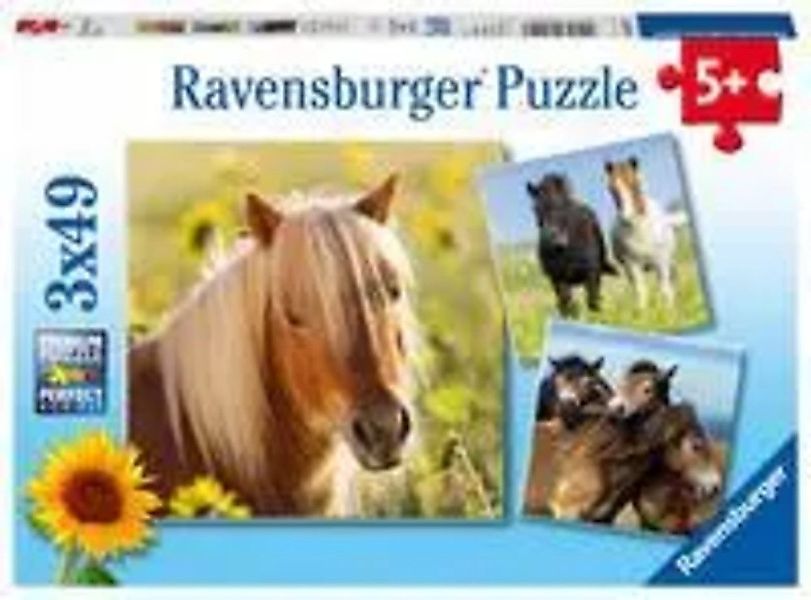 Ravensburger Puzzle Liebe Pferde. Puzzle 3 x 49 Teile, 49 Puzzleteile günstig online kaufen