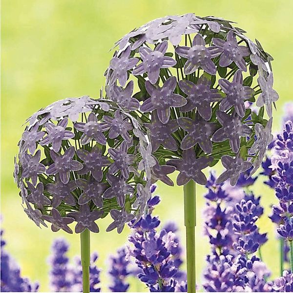 finehomegarden Gartenstecker Pflanzstecker Allium purple "ArtFerro" günstig online kaufen