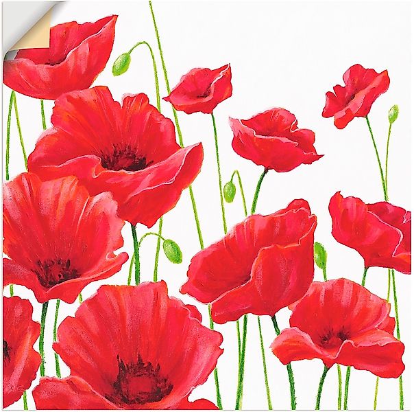 Artland Wandbild "Rote Mohnblumen I", Blumen, (1 St.), als Alubild, Outdoor günstig online kaufen