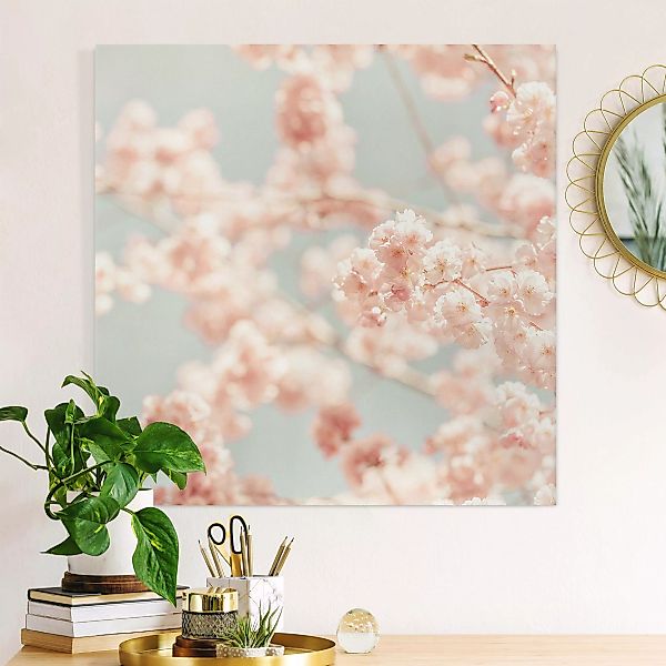 Leinwandbild Kirschblüten Glow günstig online kaufen