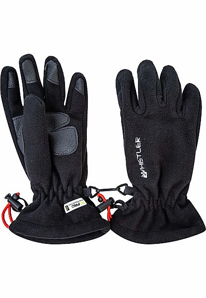 WHISTLER Skihandschuhe "Hastings" in sportlichem Design günstig online kaufen