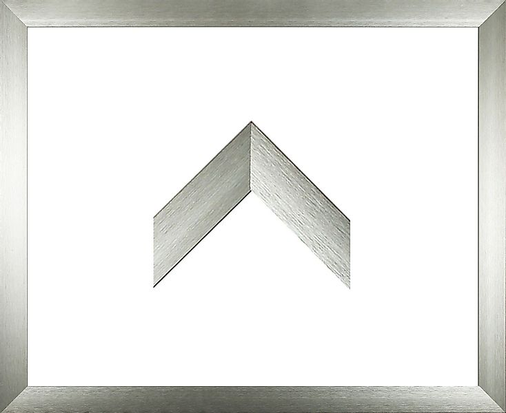 myposterframe Einzelrahmen Bilderrahmen Aluminium Triton, (1 günstig online kaufen