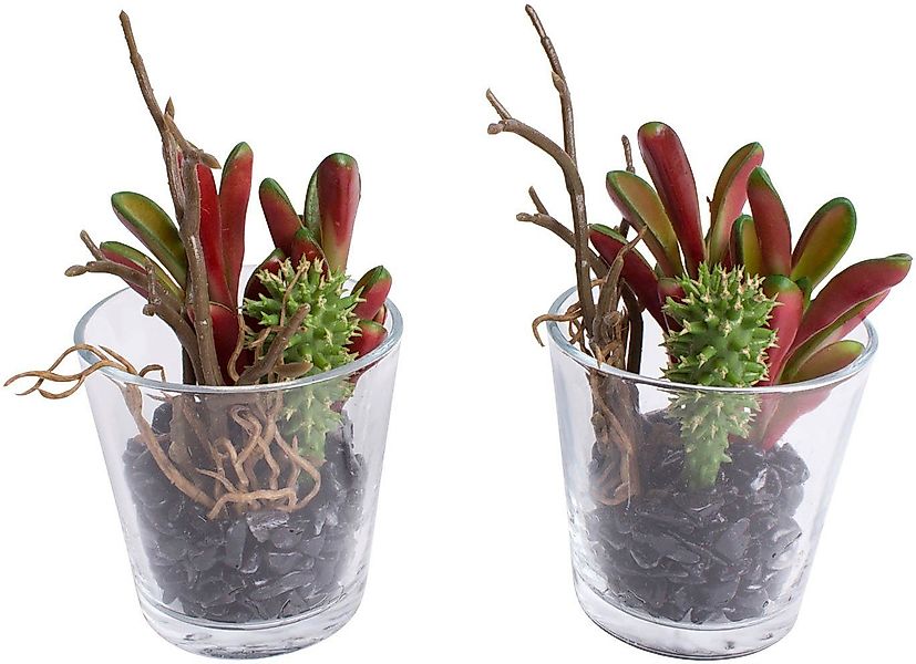 Künstliche Zimmerpflanze Sukkulenten Arrangement im Glas, günstig online kaufen