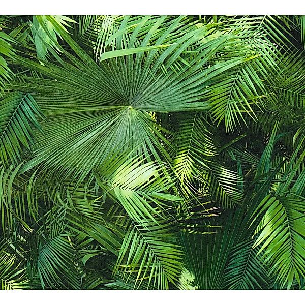 Bricoflor Dschungel Tapeten Panel Grüne Vliestapete mit Palmenblättern für günstig online kaufen