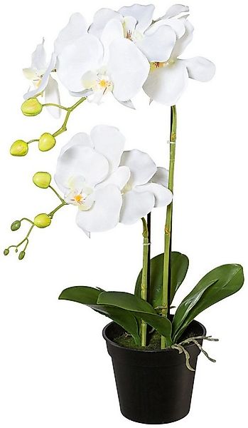 Kunstpflanze Orchidee, Creativ green, Höhe 55 cm günstig online kaufen