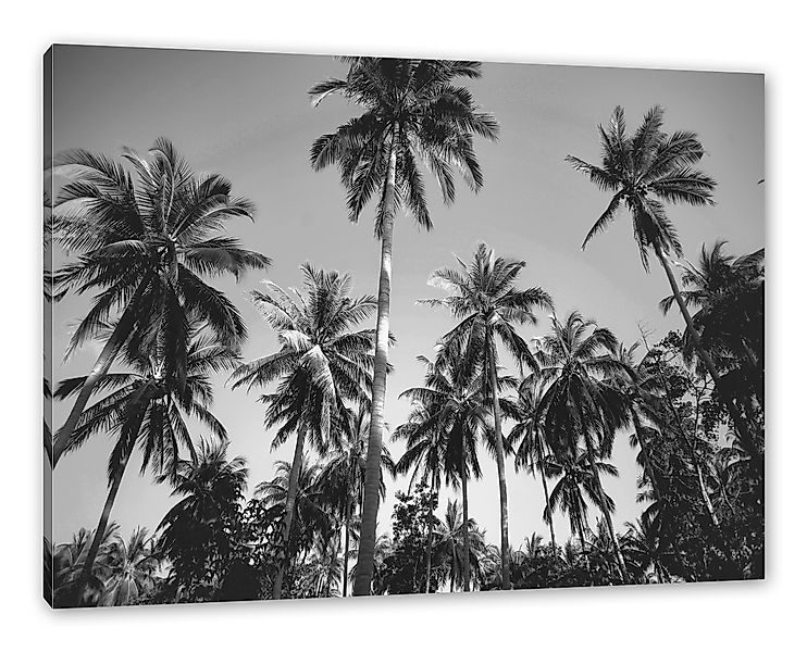 Pixxprint Leinwandbild Tropische Palmen Kunst B&W, günstig online kaufen
