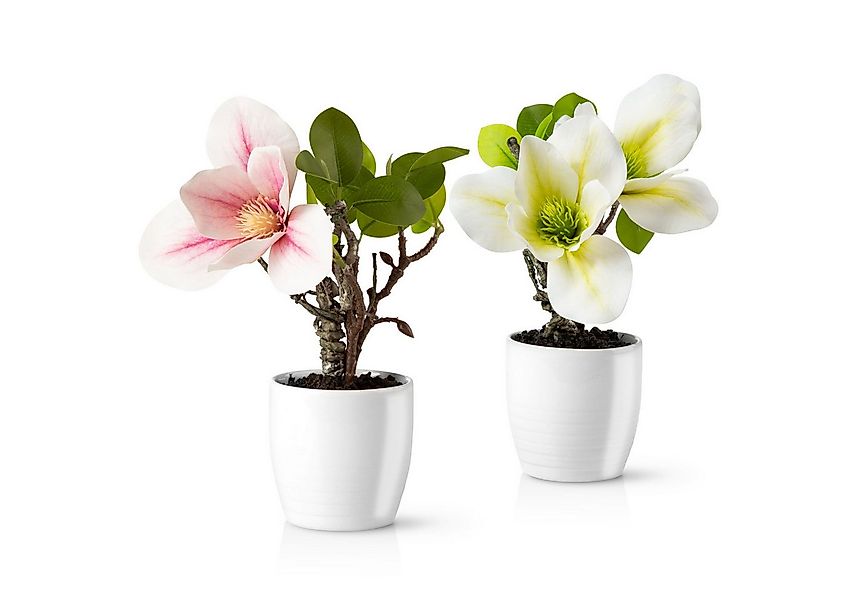 Kunstorchidee 3er Set künstliche Orchideen wie echt (35cm) in Hochglanz-Ker günstig online kaufen