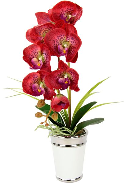 Kunstblume Orchidee, I.GE.A., Höhe 52 cm, günstig online kaufen
