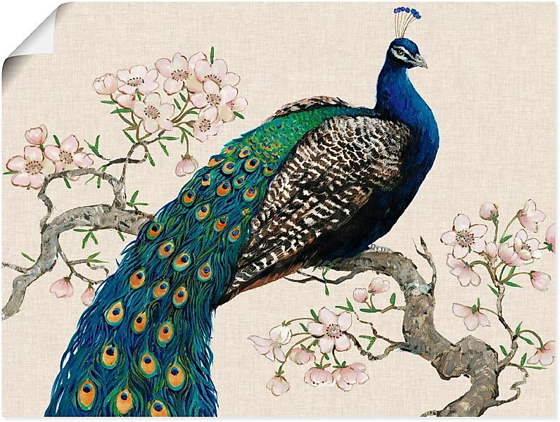 Artland Wandbild "Pfau & Blüten I", Vögel, (1 St.) günstig online kaufen