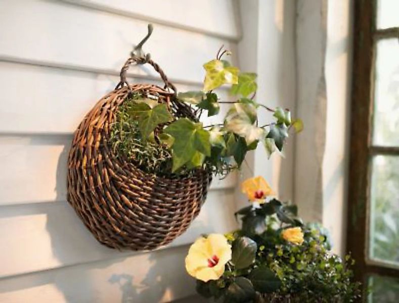 HOME Living Pflanzer Vollweide Blumentöpfe braun günstig online kaufen