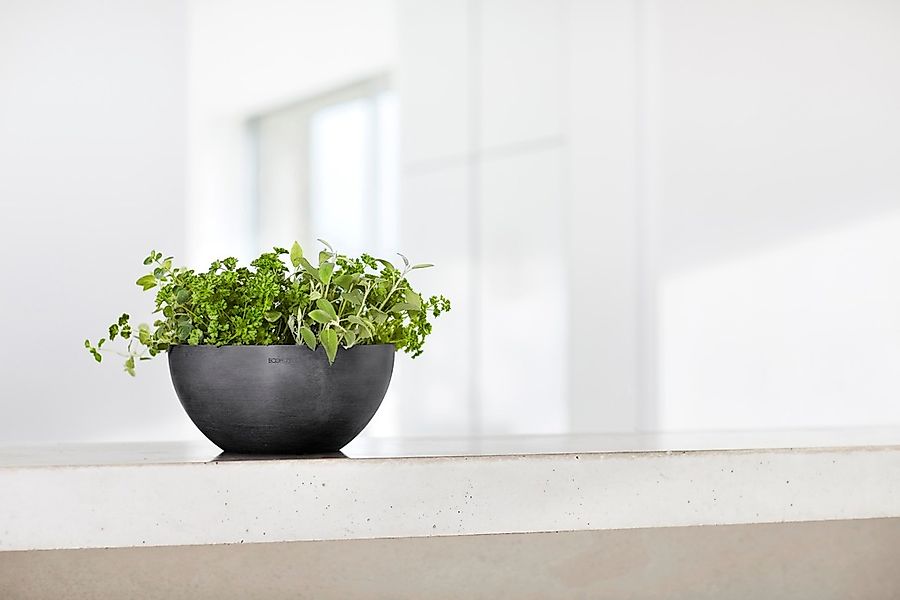 ECOPOTS Blumentopf "BRUSSELS Dark Grey", BxTxH: 25x25x12 cm günstig online kaufen
