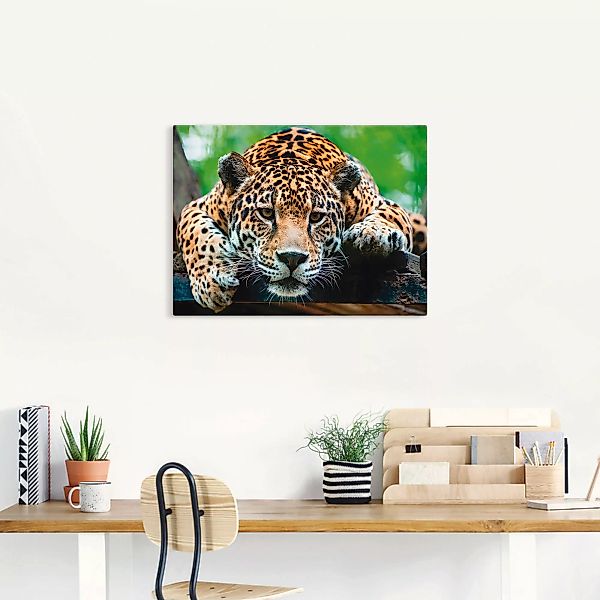Artland Wandbild "Südamerikanischer Jaguar", Wildtiere, (1 St.) günstig online kaufen