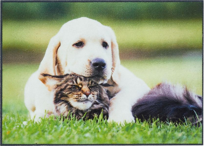 Andiamo "Modern" rechteckig 6,5 mm Höhe Schmutzfangmatte, bedruckt, diverse günstig online kaufen