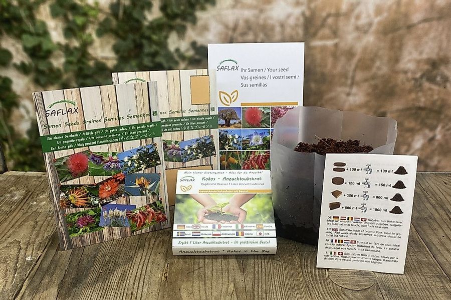 SAFLAX Blumensamen SAFLAX - Geschenkset - günstig online kaufen