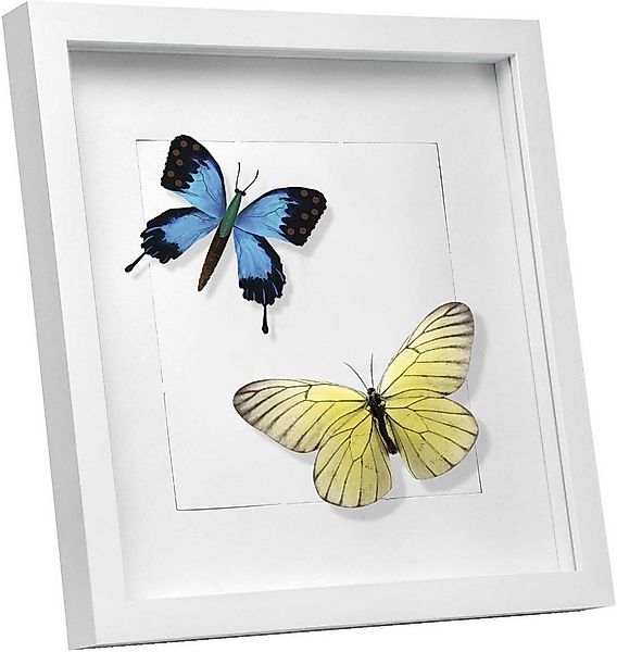 EUGAD Bilderrahmen, (1 St), Holzrahmen mit Papier-Passepartout, Glasscheibe günstig online kaufen