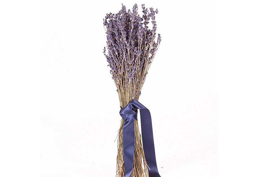 Trockenblume Echter Lavendel getrocknet Lavendelstrauß Deko Lavendelbund Er günstig online kaufen