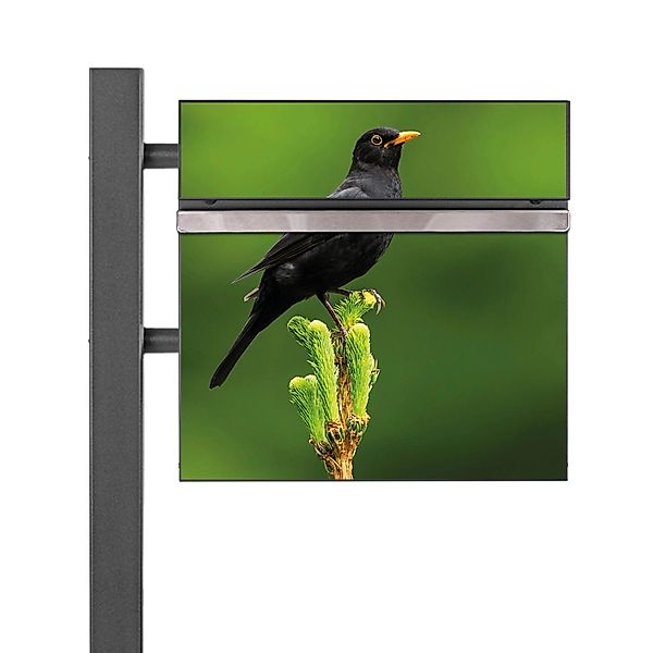 Banjado Standbriefkasten Anthrazit 45x120x16.5cm Groß Inkl. Montagematerial günstig online kaufen