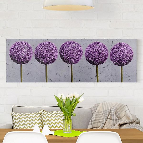 Leinwandbild Blumen - Panorama Allium Kugel-Blüten günstig online kaufen