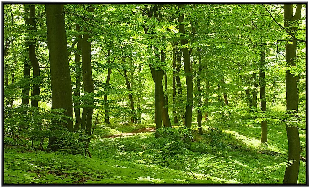 Papermoon Infrarotheizung »Wald im Frühling«, sehr angenehme Strahlungswärm günstig online kaufen
