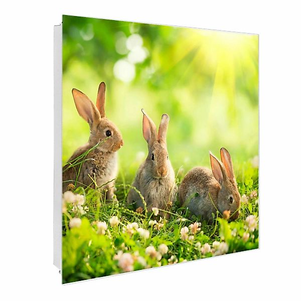 Banjado Großer Schlüsselkasten Glas 30x30cm Weiß Scharnier Links 50 Haken B günstig online kaufen