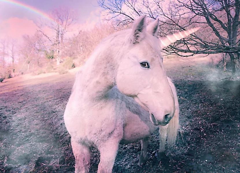 Papermoon Fototapete »Unicorn« günstig online kaufen