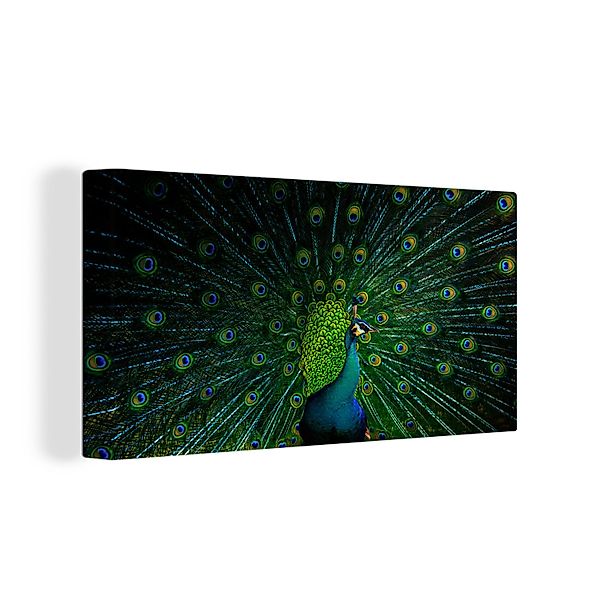 OneMillionCanvasses® Leinwandbild Pfau - Tanzen - günstig online kaufen