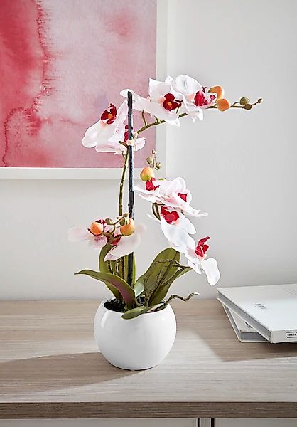 Home affaire Kunstorchidee "Ernestine" Kunstpflanze, im Topf günstig online kaufen