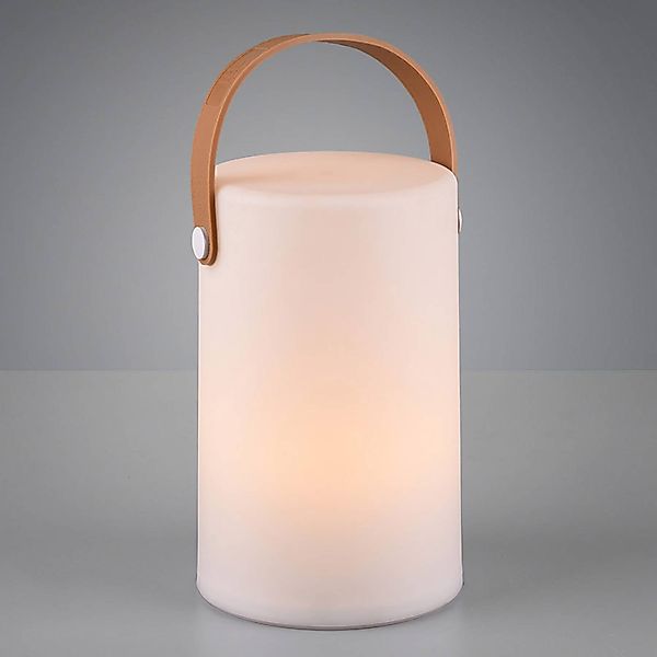 Reality Leuchten LED Außen-Tischleuchte Aruba, Farbwechsel, LED fest integr günstig online kaufen