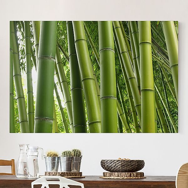 Leinwandbild - Querformat Bamboo Trees günstig online kaufen