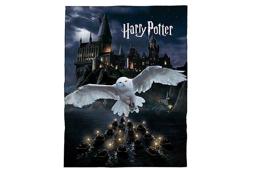 Kinderdecke Super flauschige Harry Potter Kuscheldecke Motiv "Hedwig" 150x2 günstig online kaufen