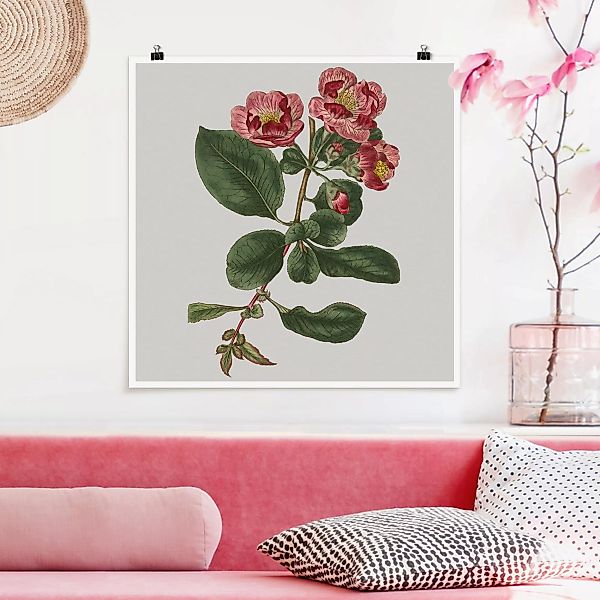 Poster - Quadrat Florale Schmuckstücke I günstig online kaufen