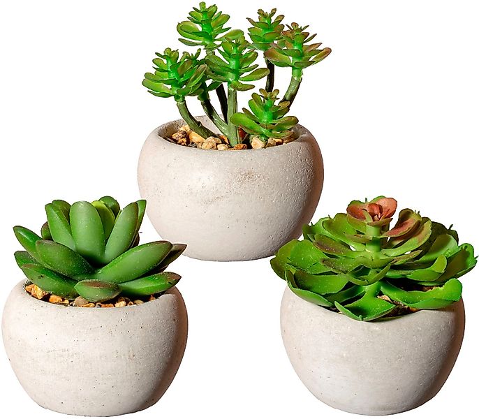 Künstliche Zimmerpflanze Sukkulenten Sukkulente, Creativ green, günstig online kaufen