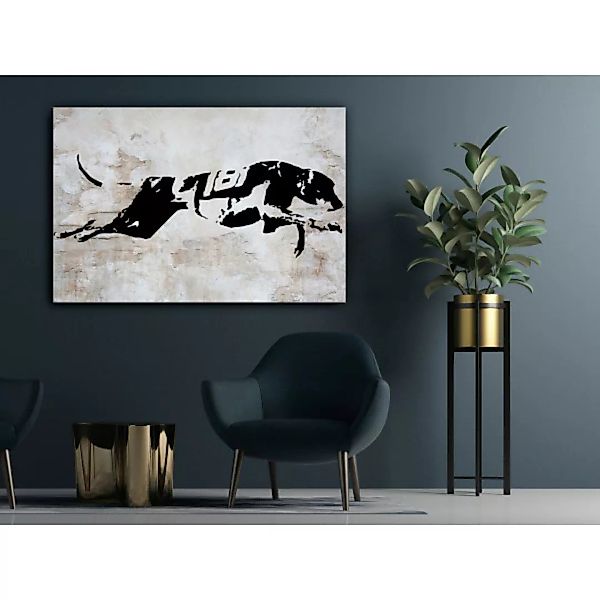 Bild auf Leinwand Greyhound Race (1 Part) Wide XXL günstig online kaufen