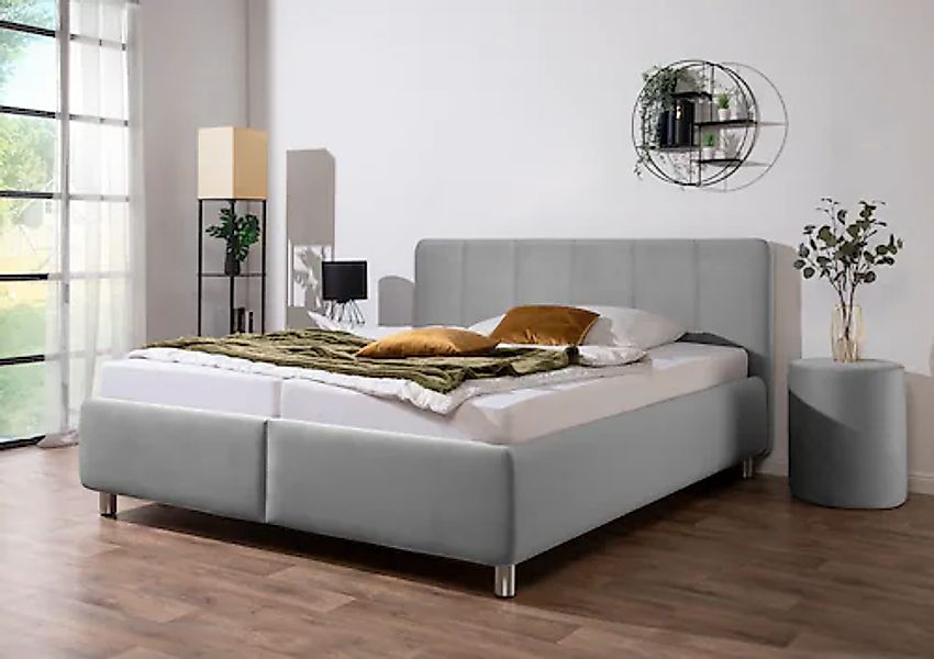 Maintal Polsterbett »Wiesenblick, in Samt &Struktur erhältlich« mit Bettkas günstig online kaufen