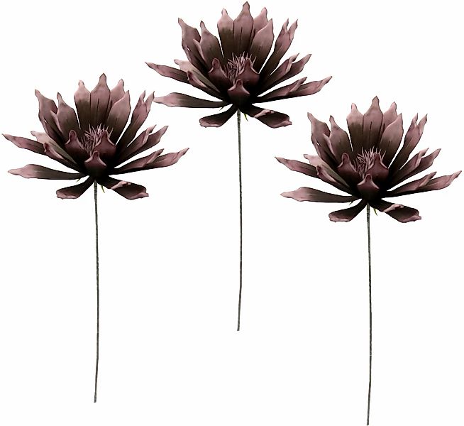 I.GE.A. Kunstblume "Soft-Protea", 3er Set günstig online kaufen