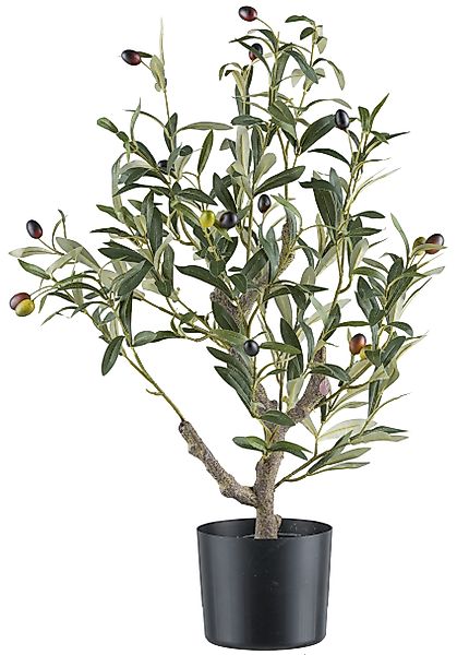 Kunstpflanze Olive, Creativ green, Höhe 70 günstig online kaufen