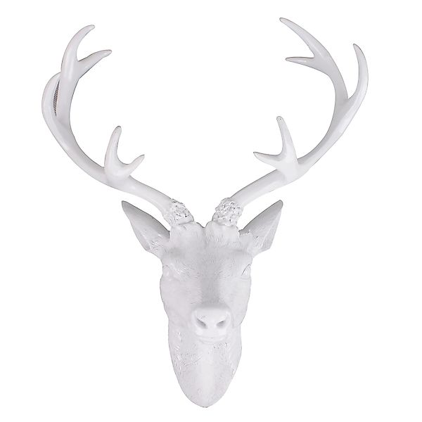Mojawo XXL Hirschgeweih Hirschkopf Geweih 10 Ender Farbe Weiß 48x32x61cm Sk günstig online kaufen