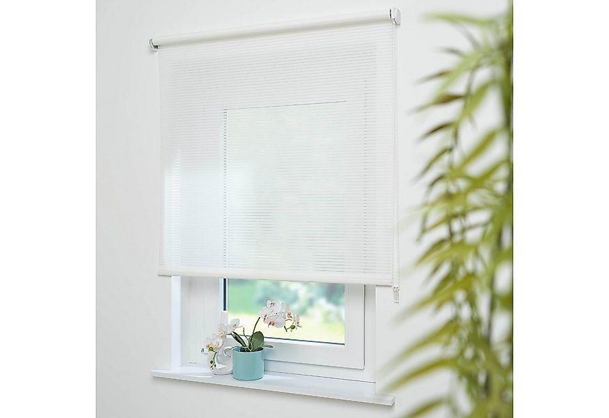 Seitenzugrollo Dekor Streifen, Liedeco, Lichtschutz, mit Bohren, verschraub günstig online kaufen