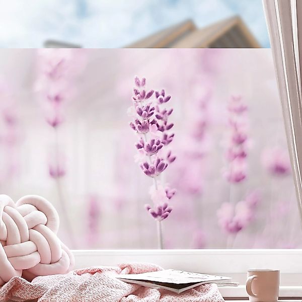 Fensterfolie Zartvioletter Lavendel günstig online kaufen