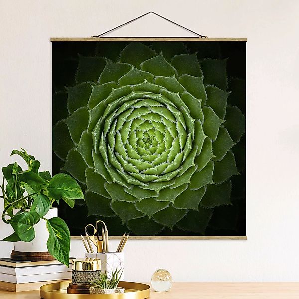 Stoffbild Blumen mit Posterleisten - Quadrat Mandala Sukkulente günstig online kaufen