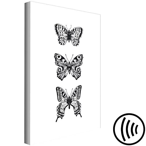 Bild auf Leinwand Three Butterflies (1 Part) Vertical XXL günstig online kaufen