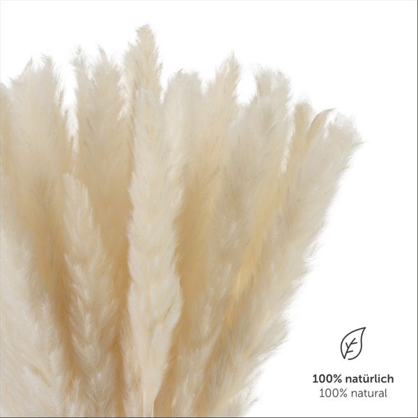 Kunstpflanze getrocknet - Trockenblumen, Ideales Dekoelement günstig online kaufen