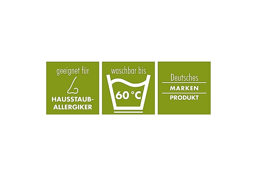 irisette GREENLINE Gänsefederkopfkissen / Gänsedaunenkopfkissen - 3 Kammer günstig online kaufen