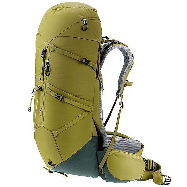 Deuter Aircontact Core 50 10 Cactus/Ivy günstig online kaufen