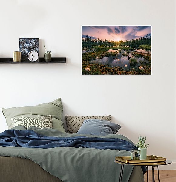 Komar Leinwandbild Gloomy Swamps - Größe günstig online kaufen