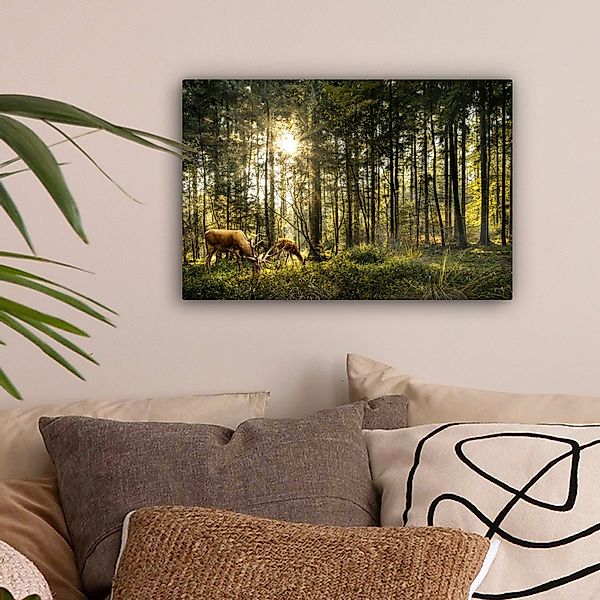 OneMillionCanvasses® Leinwandbild Hirsche - Natur - günstig online kaufen